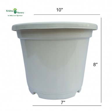 10" White Plastic Pot - Plastic Pots -  - 10-white-plastic-pot -   