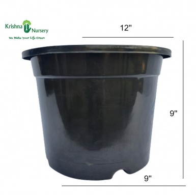 12" Black Plastic Pot - Plastic Pots -  - 12-black-plastic-pot -   