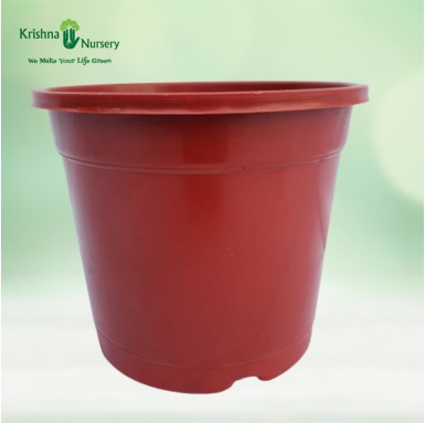 6" Red Pot - Plastic Pots -  - 6-red-pot -   