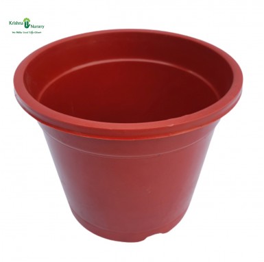 6" Red Pot