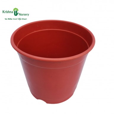 6" Red Plastic Pot - Plastic Pots -  - 6-red-plastic-pot -   