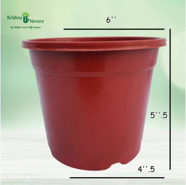 6" Red Plastic Pot - Plastic Pots -  - 6-red-plastic-pot -   