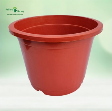 12" Red Pot