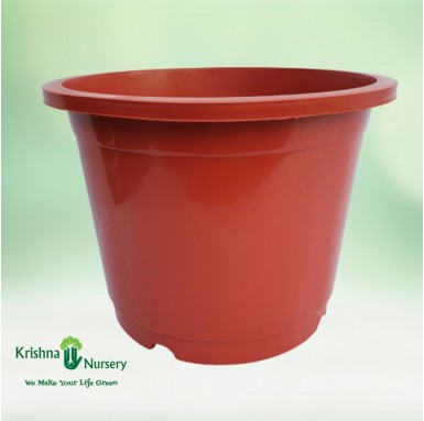 12" Red Plastic Pot - Plastic Pots -  - 12-red-plastic-pot -   