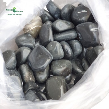 Polished Pebbles (Color: Black, Size: Medium) - Pebbles -  - polished-pebbles-color-black-size-medium -   