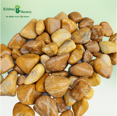 Polished Pebbles (Color: Golden, Size: Medium) - Pebbles -  - polished-pebbles-color-golden-size-medium -   