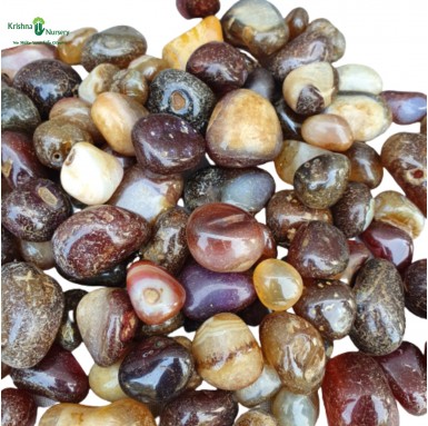 Onex Pebbles (Color: Brown, Size: Medium) - Pebbles -  - onex-pebbles-color-brown-size-medium -   