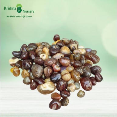 Onex Pebbles (Color: Brown, Size: Medium)