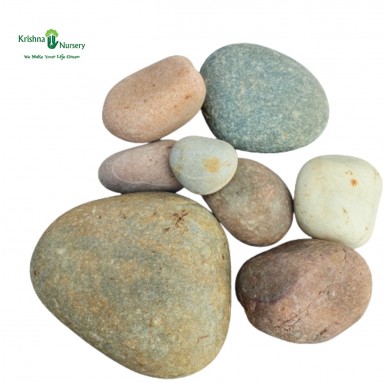 Natural Mix Color Stone (Size: Big) - Pebbles -  - natural-mix-color-stone-size-big -   