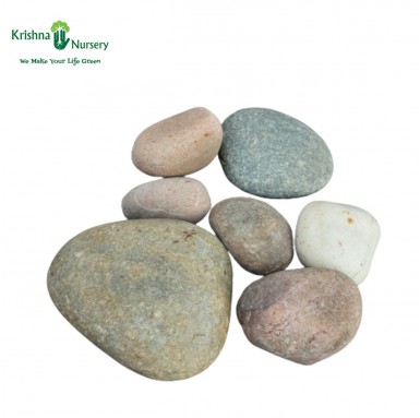 Natural Mix Color Stone (Size: Big) - Pebbles -  - natural-mix-color-stone-size-big -   