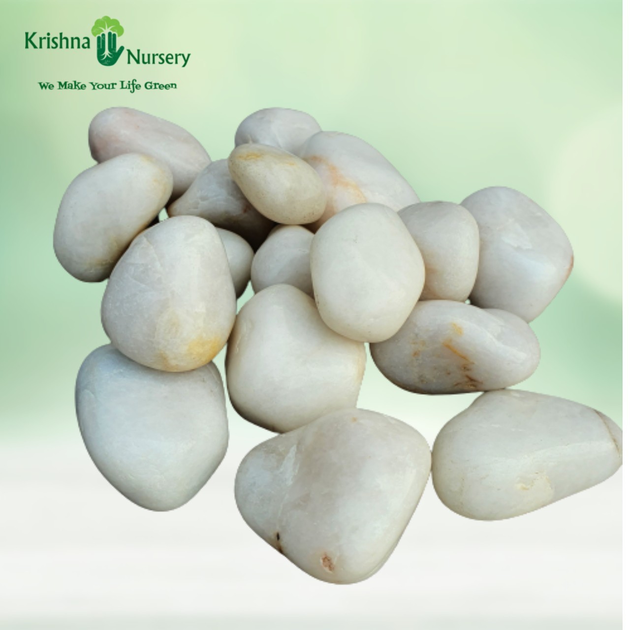 White Polished Pebbles (Size: Medium) - Pebbles -  - white-polished-pebbles-size-medium -   