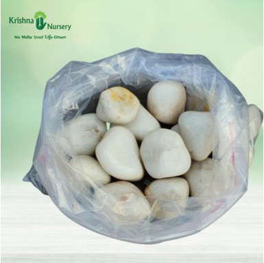 White Polished Pebbles (Size: Medium) - Pebbles -  - white-polished-pebbles-size-medium -   