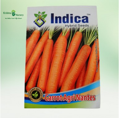 Carrot Seeds - Seeds -  - carrot-seeds -   