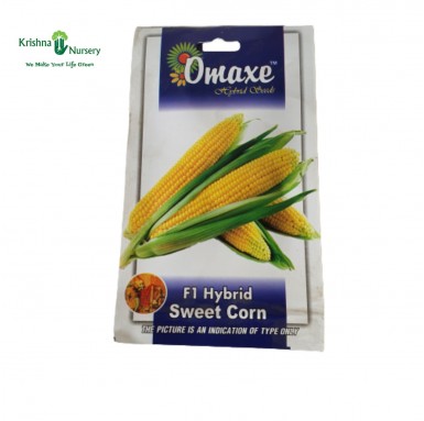 Hybrid Sweet Corn Seeds - Seeds -  - hybrid-sweet-corn-seeds -   
