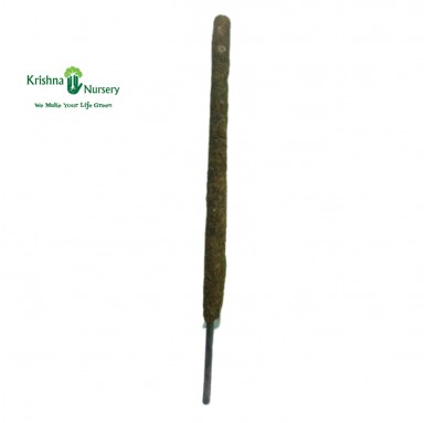 Moss Stick - Accessories - Buy Moss Sticks Online - Krishna Nursery | Wholesale Plant Nursery - moss-stick -   
