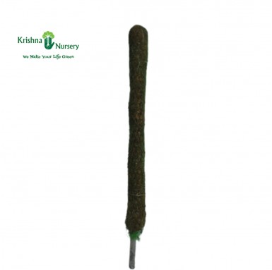Moss Stick - Home - Buy Moss Sticks Online - Krishna Nursery | Wholesale Plant Nursery - moss-stick -   