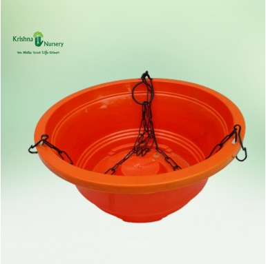 Hanging Baskets - Plastic Pots -  - hanging-baskets -   