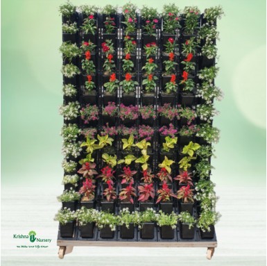 Moveable Green Wall with Plant