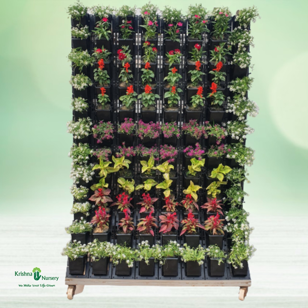 Moveable Green Wall with Plant - Plastic Pots -  - moveable-green-wall-with-plant -   